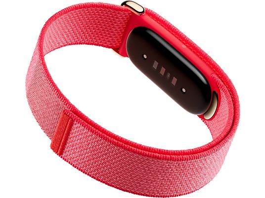 Google Fitbit Air Berry