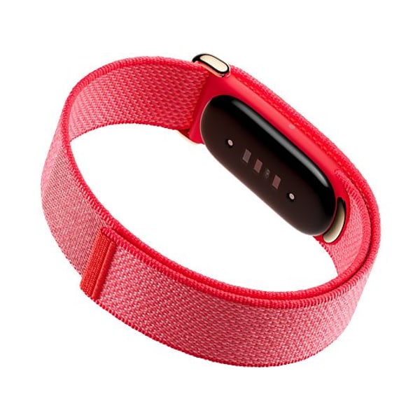 Google Fitbit Air Berry